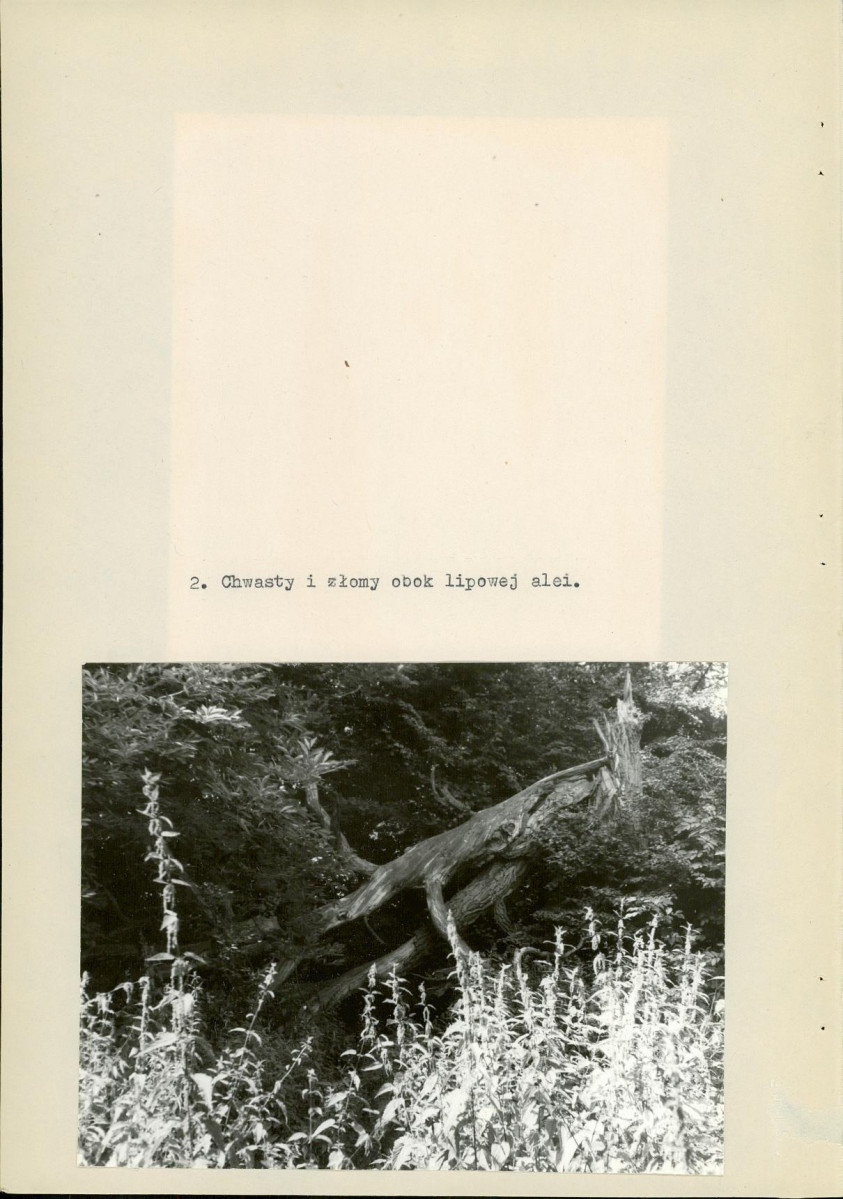 Ewidencja parkowa, skan nr 21