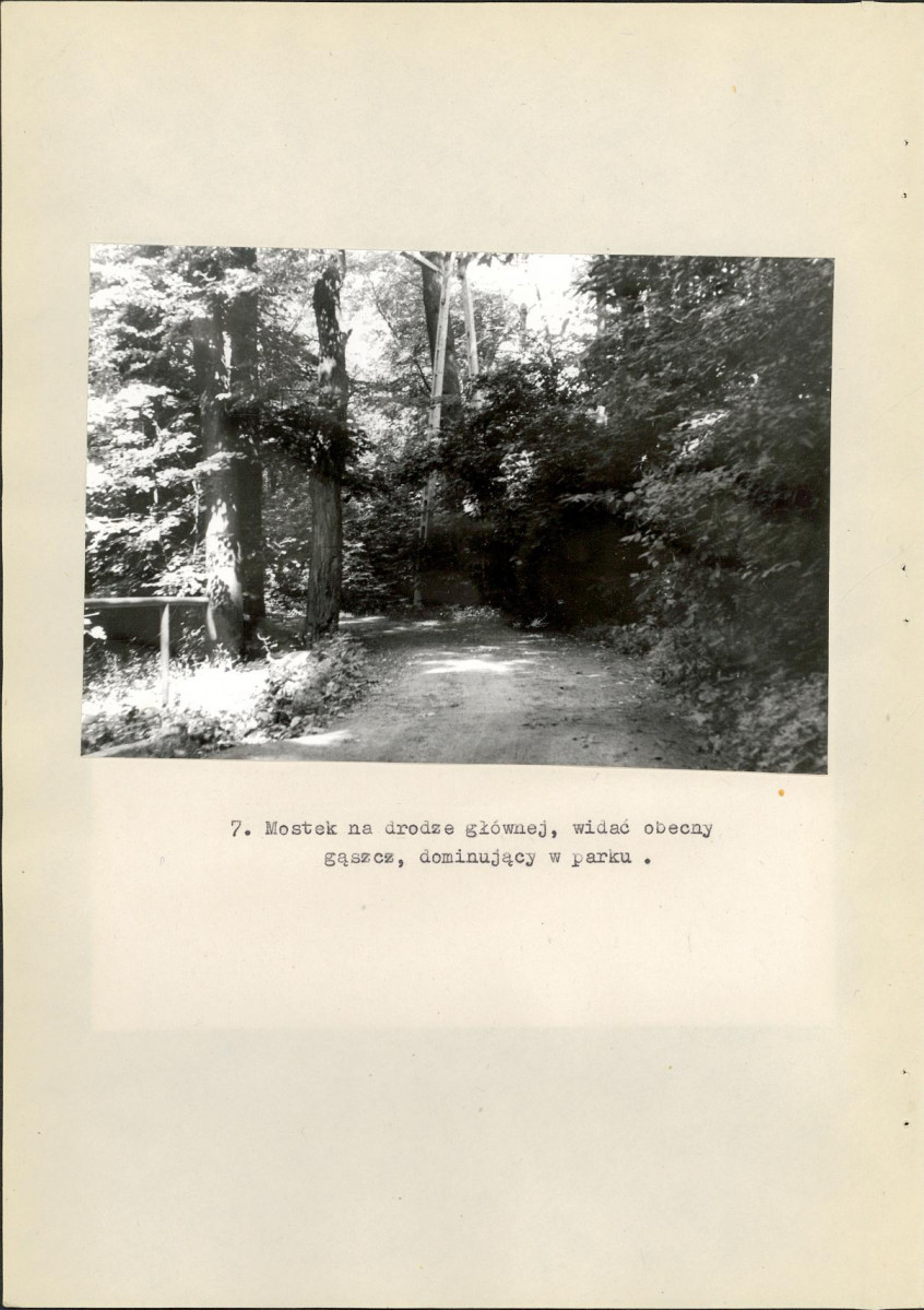 Ewidencja parkowa, skan nr 25