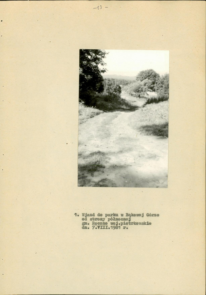 Ewidencja parkowa, skan nr 19