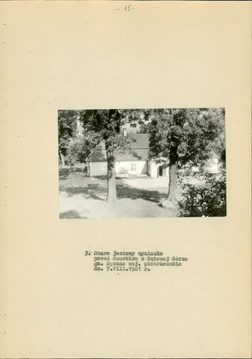 Ewidencja parkowa, skan nr 21