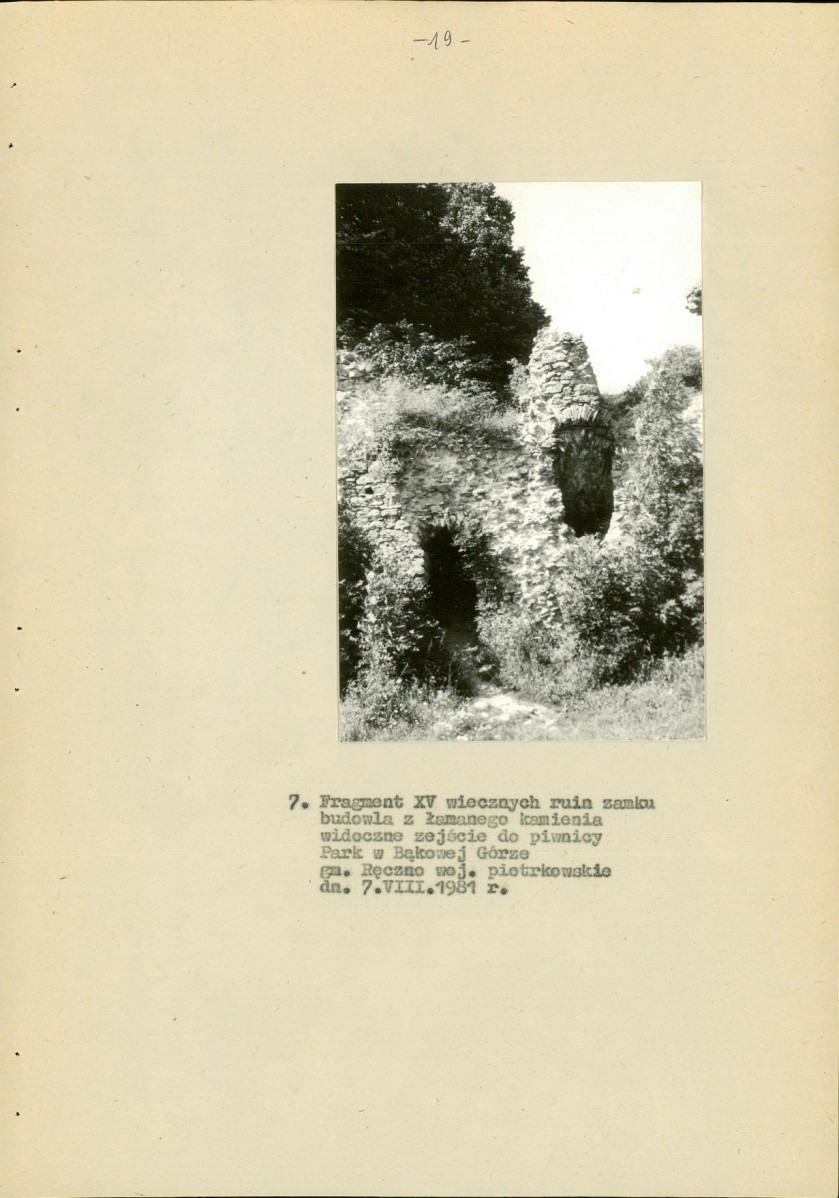 Ewidencja parkowa, skan nr 25