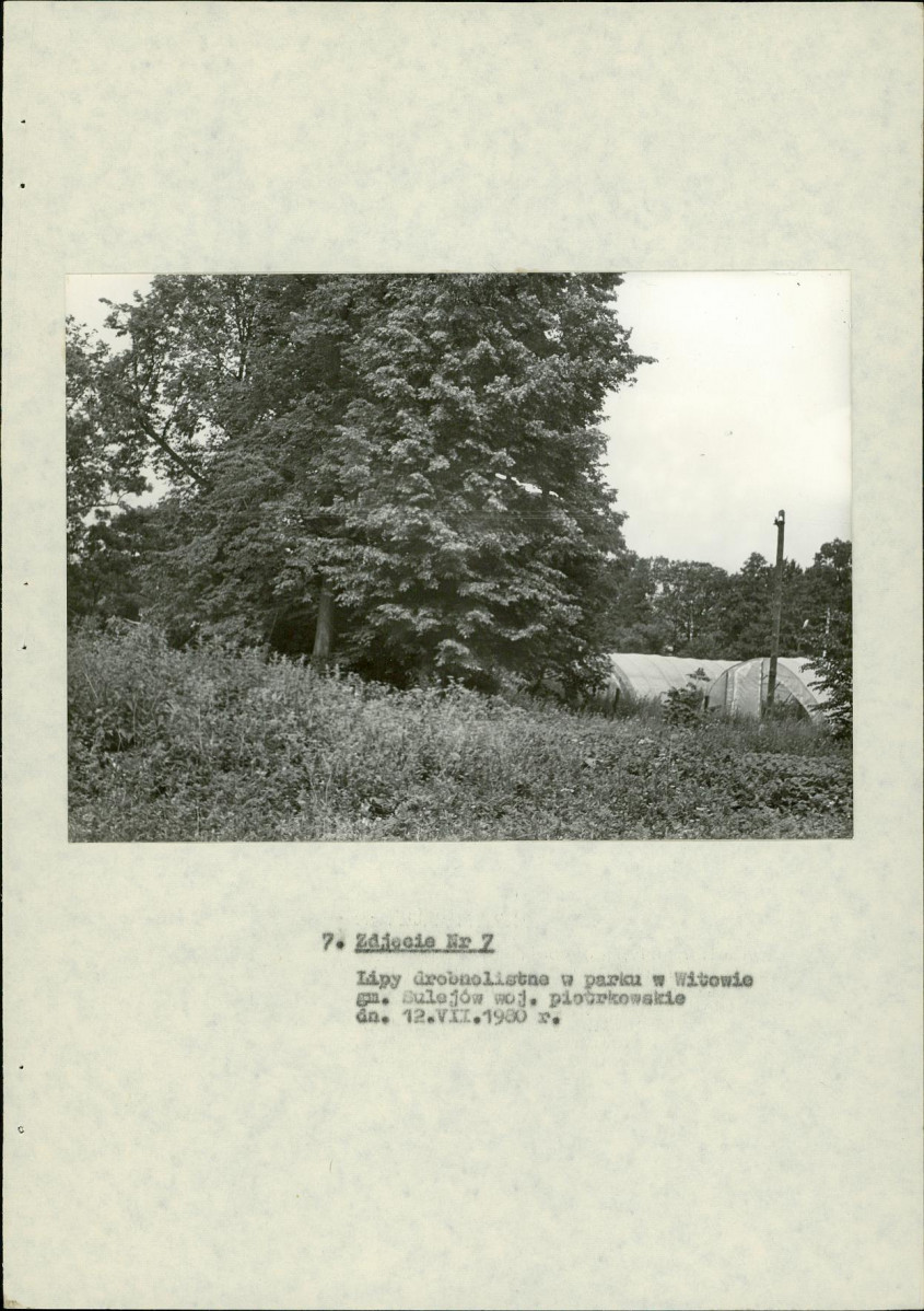 EP - Ewidencja parkowa, skan nr 22