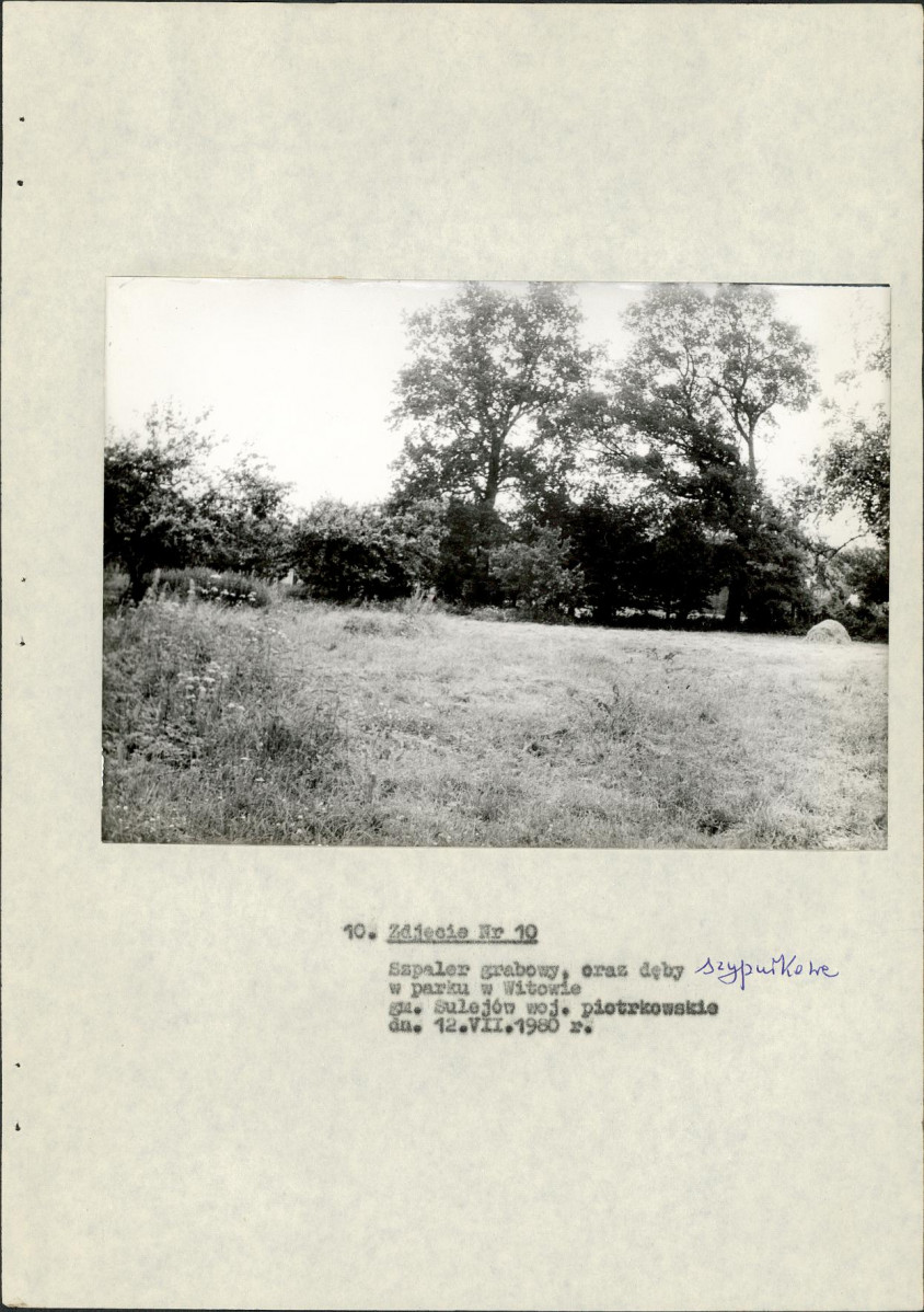 EP - Ewidencja parkowa, skan nr 26