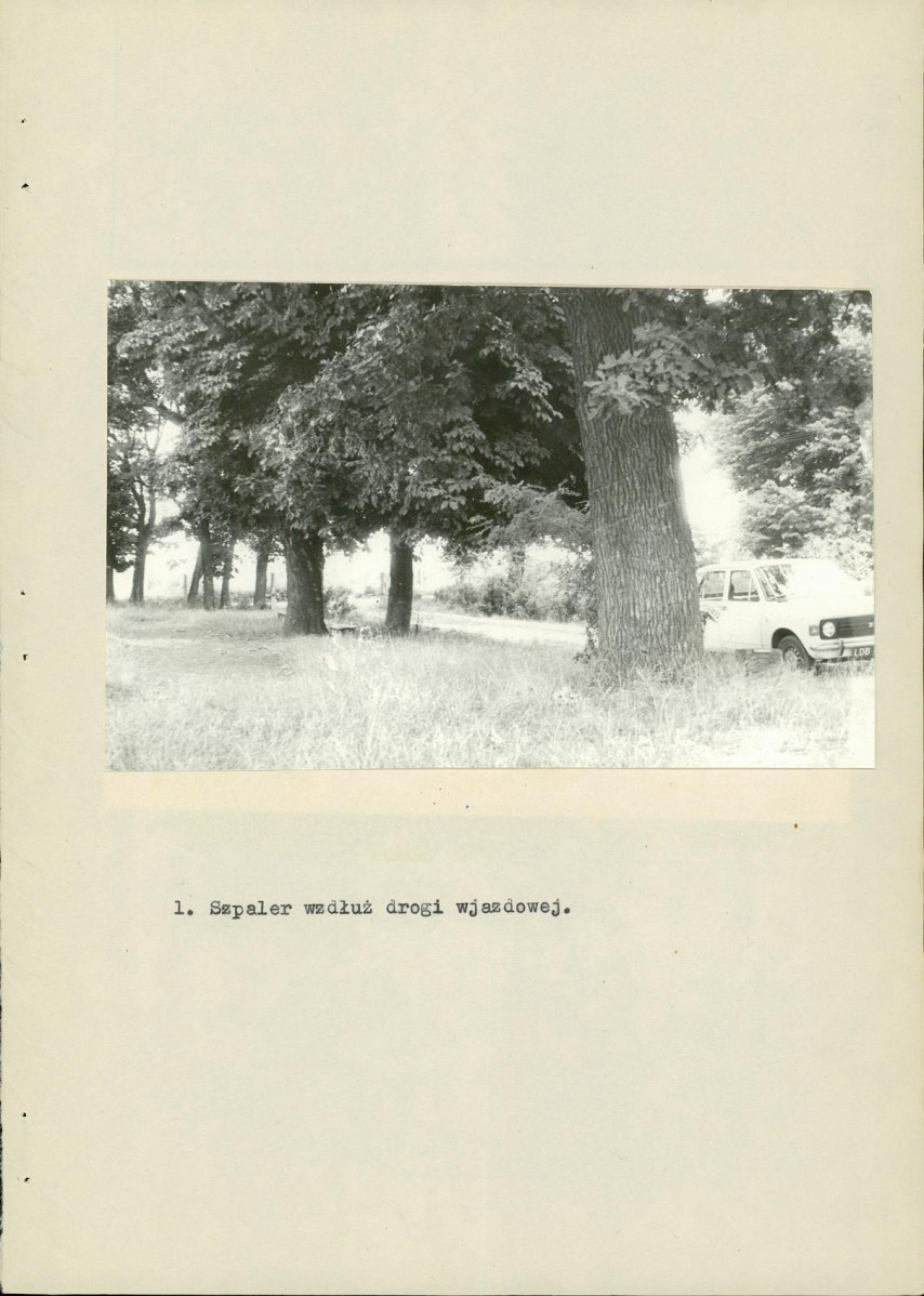 Ewidencja parkowa, skan nr 17