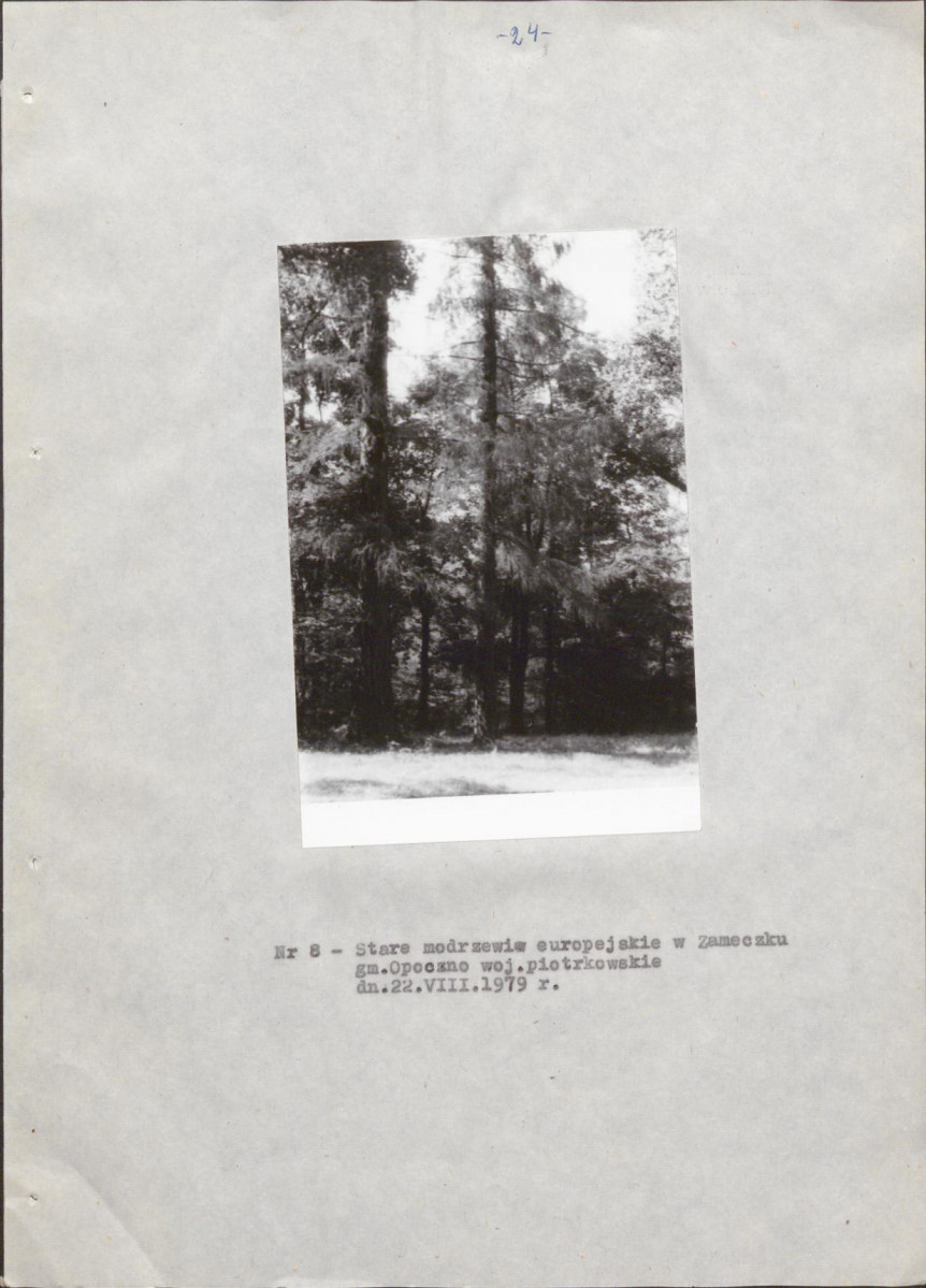 EP - Ewidencja parkowa, skan nr 29