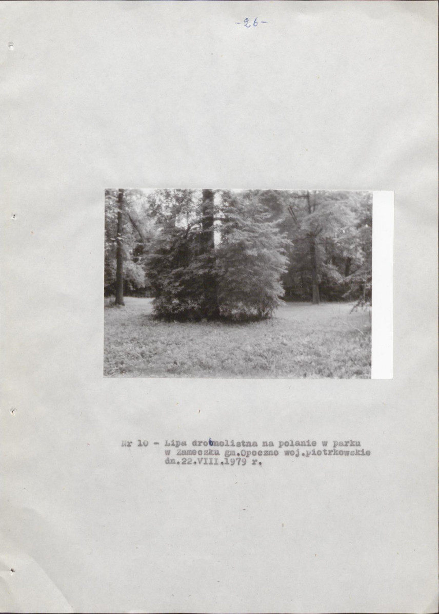 EP - Ewidencja parkowa, skan nr 31