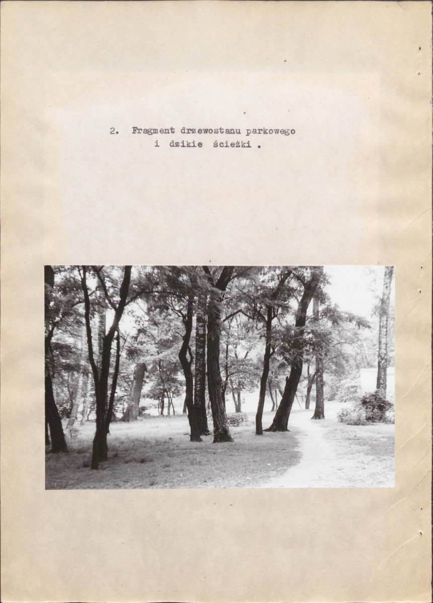 EP - Ewidencja parkowa, skan nr 20