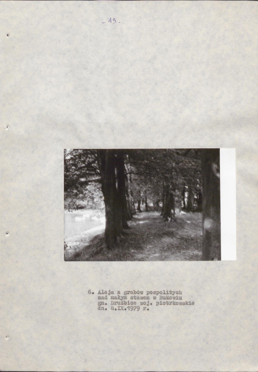 EP - Ewidencja parkowa, skan nr 26
