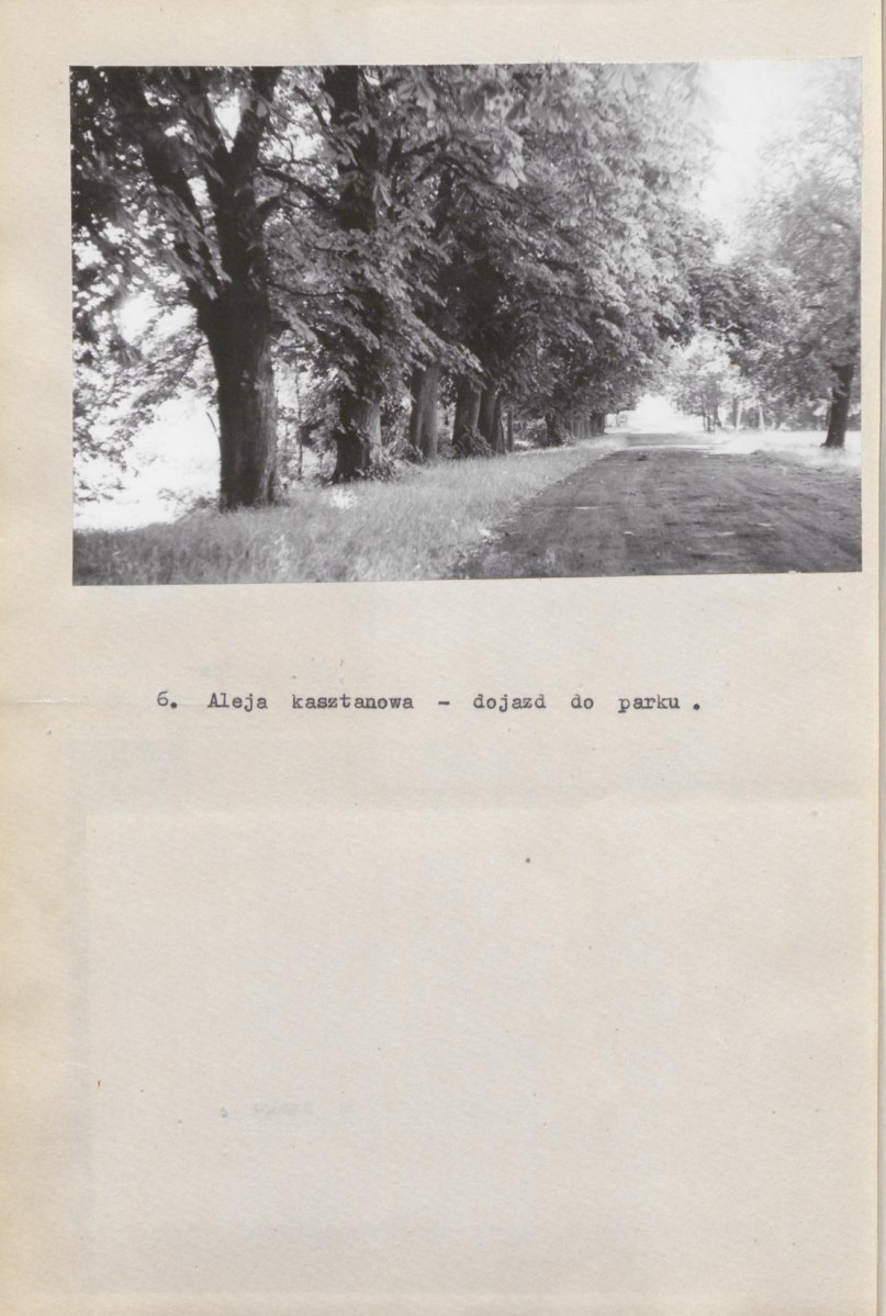 Ewidencja parkowa, skan nr 28