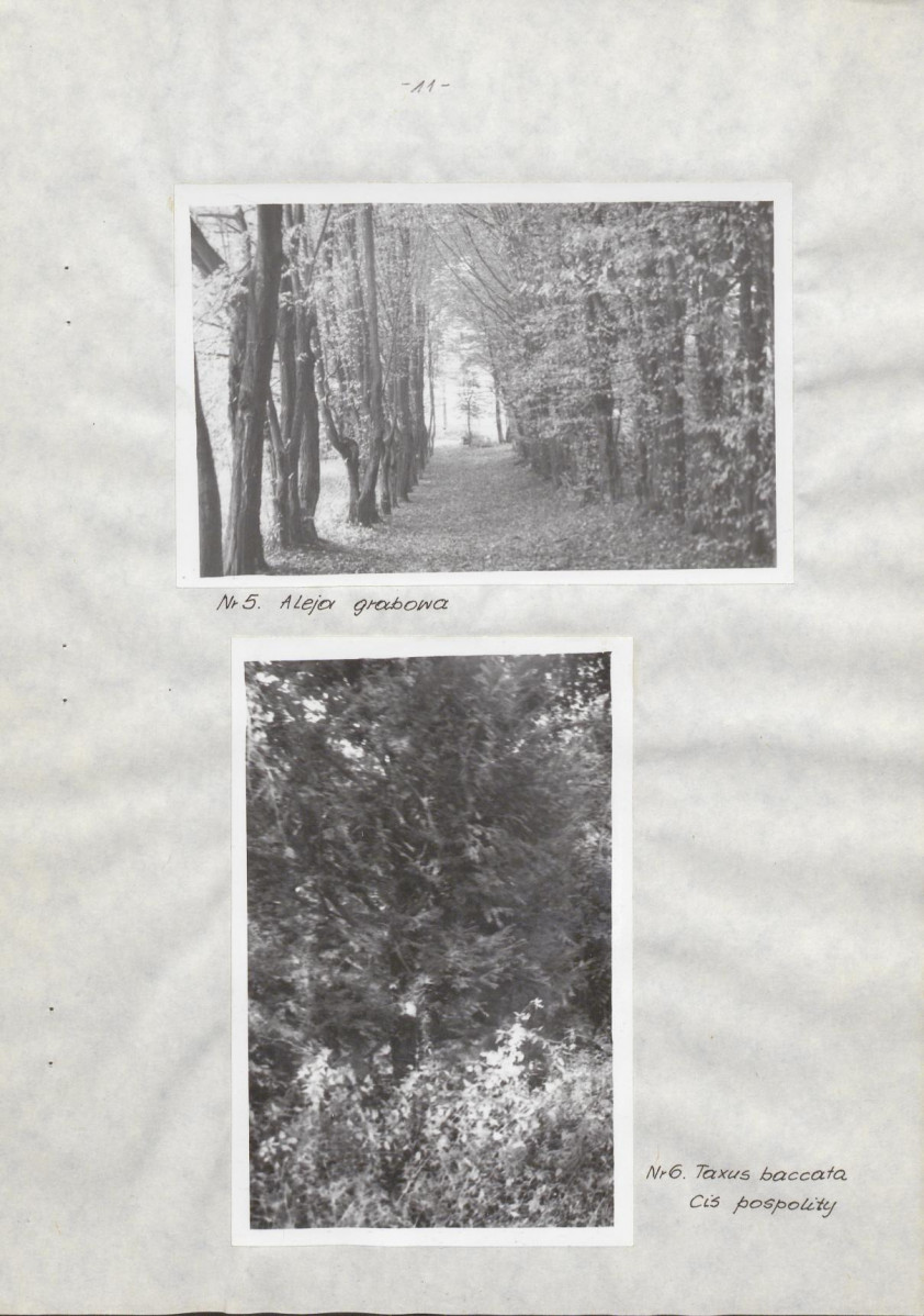 Ewidencja parkowa, skan nr 16