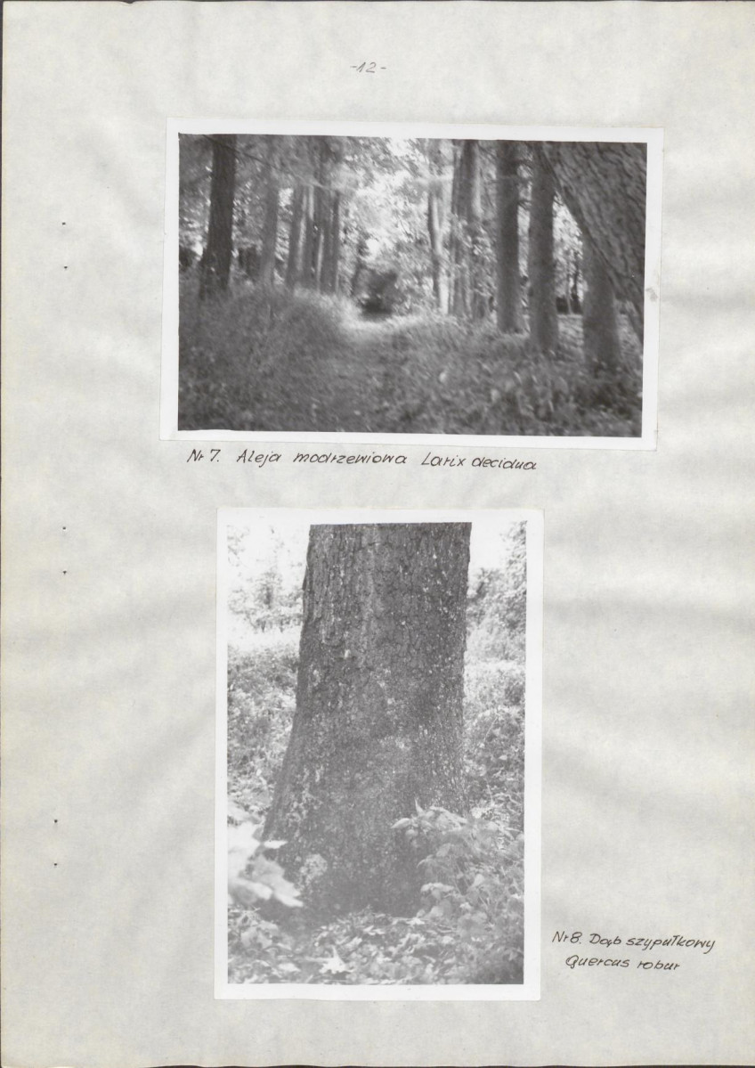 Ewidencja parkowa, skan nr 17