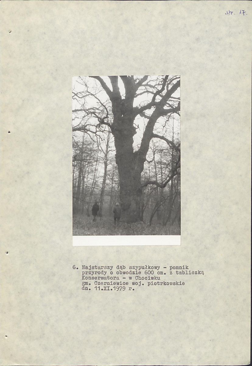EP - Ewidencja parkowa, skan nr 23