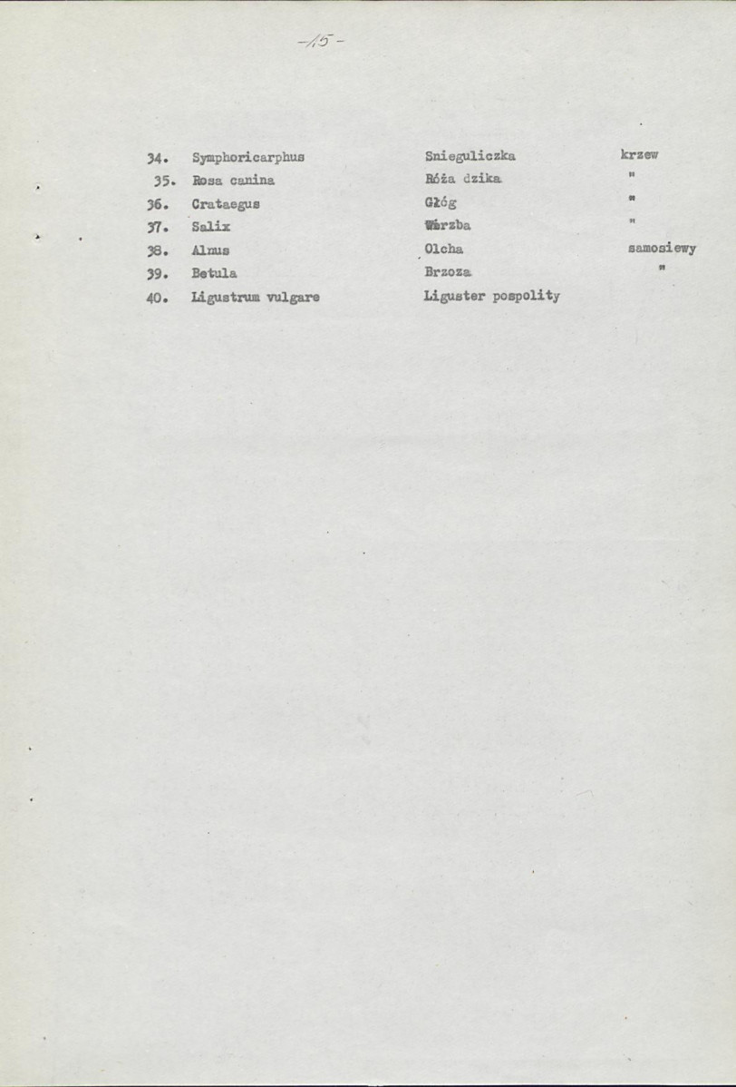 Ewidencja parkowa, skan nr 24