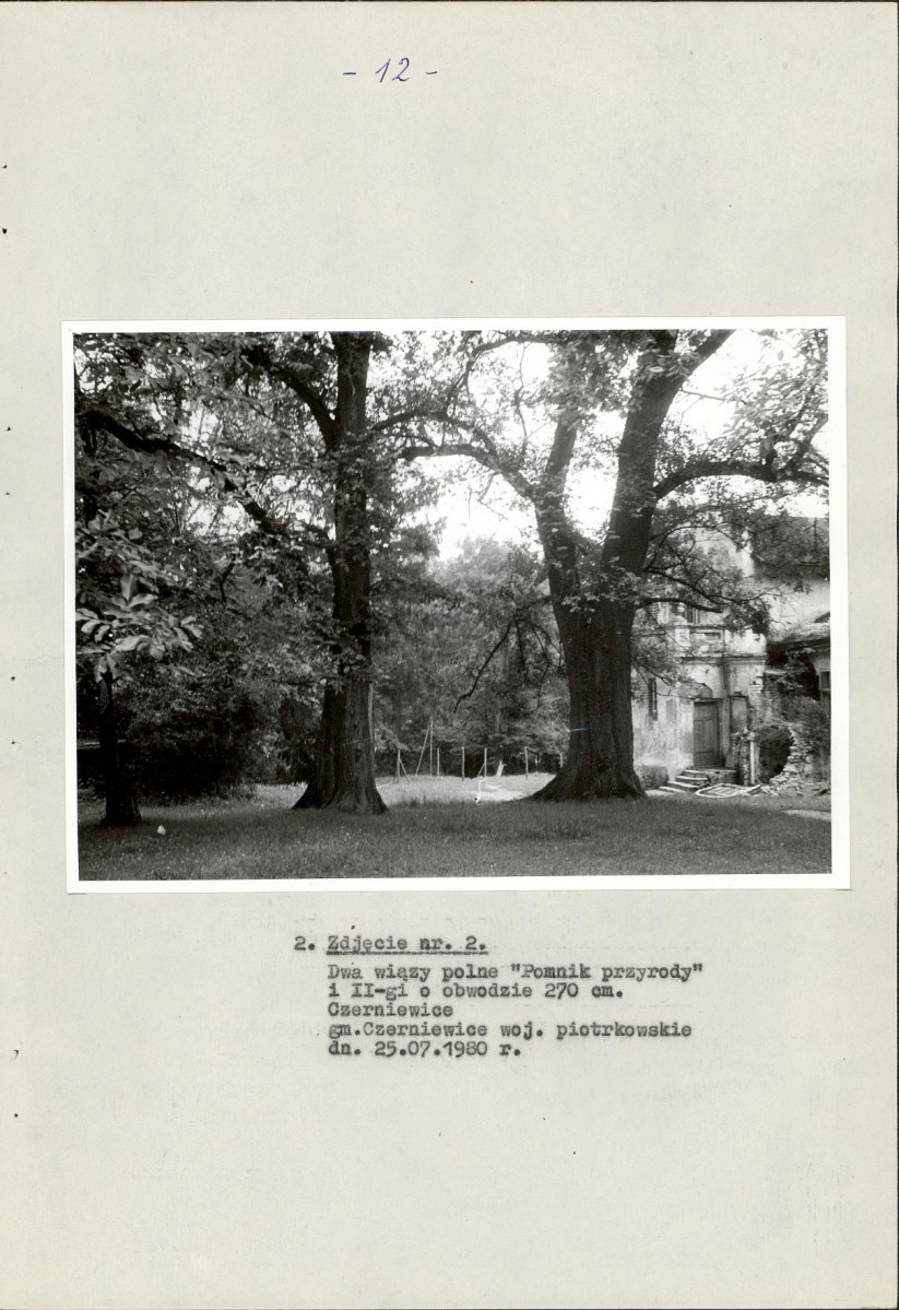 EP - Ewidencja parkowa, skan nr 17