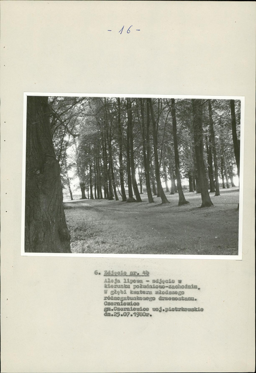 EP - Ewidencja parkowa, skan nr 21