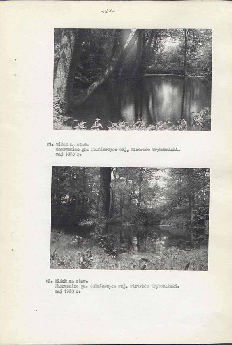 Ewidencja parkowa, skan nr 30