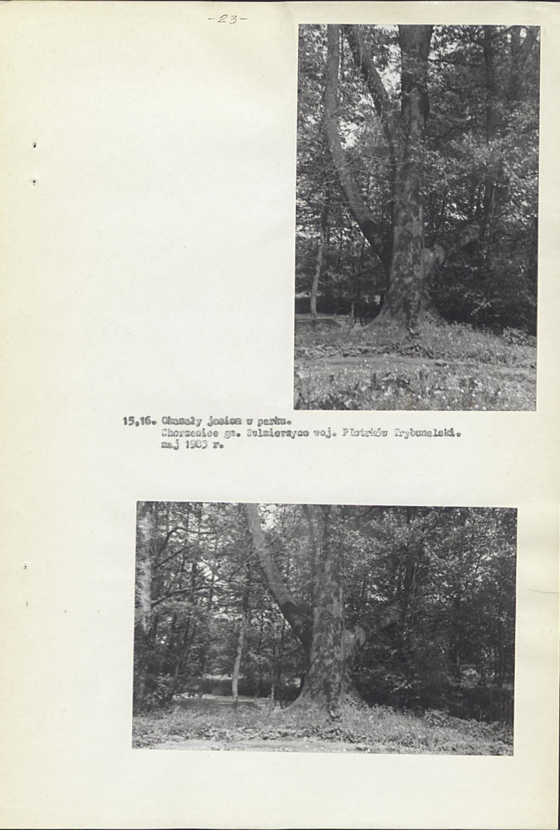 Ewidencja parkowa, skan nr 32