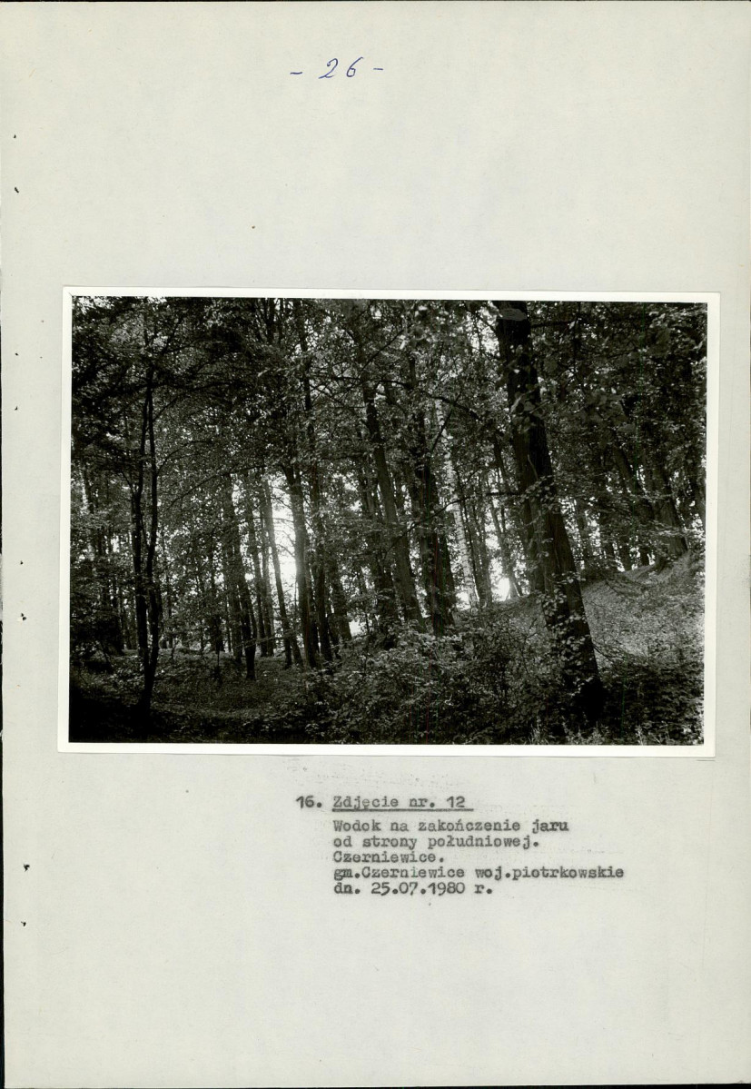EP - Ewidencja parkowa, skan nr 31