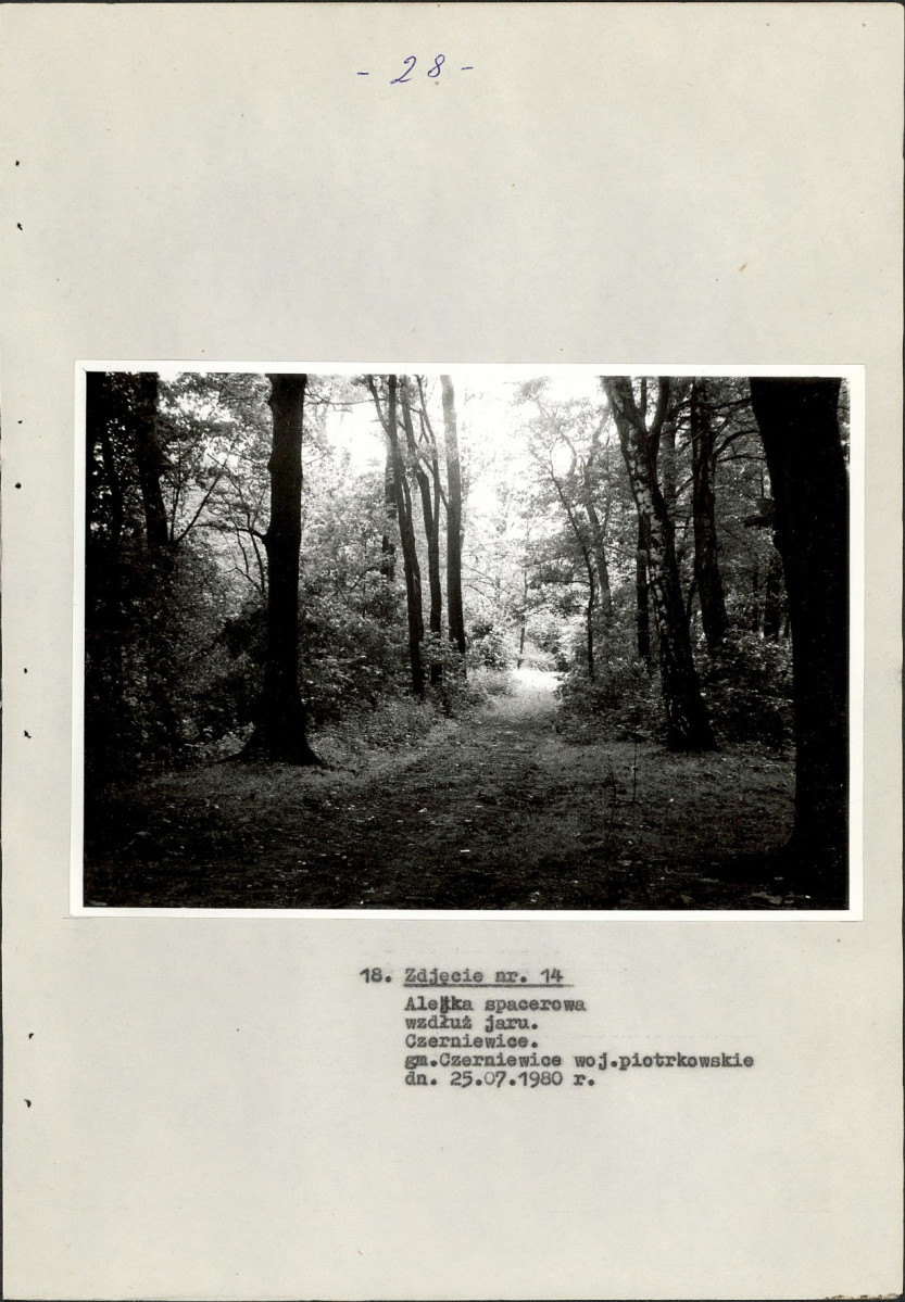 EP - Ewidencja parkowa, skan nr 33