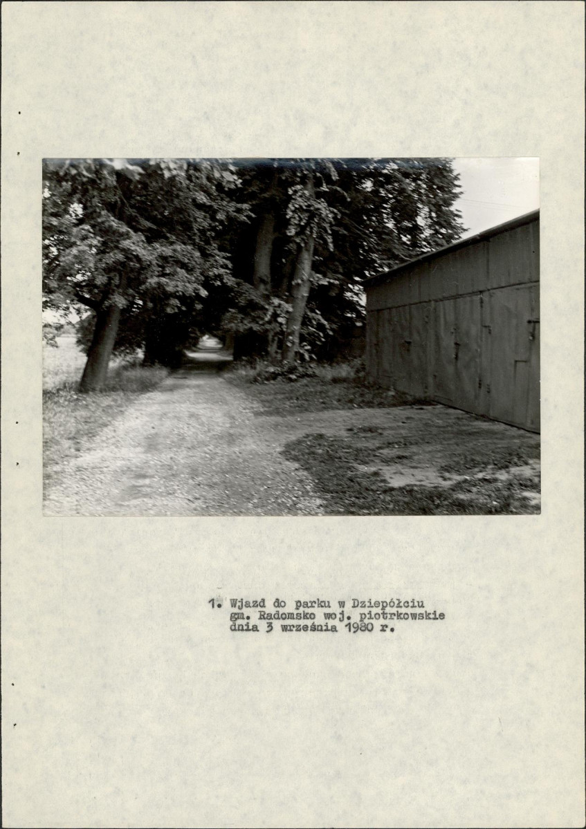 Ewidencja parkowa, skan nr 19