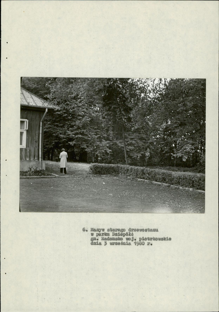Ewidencja parkowa, skan nr 24