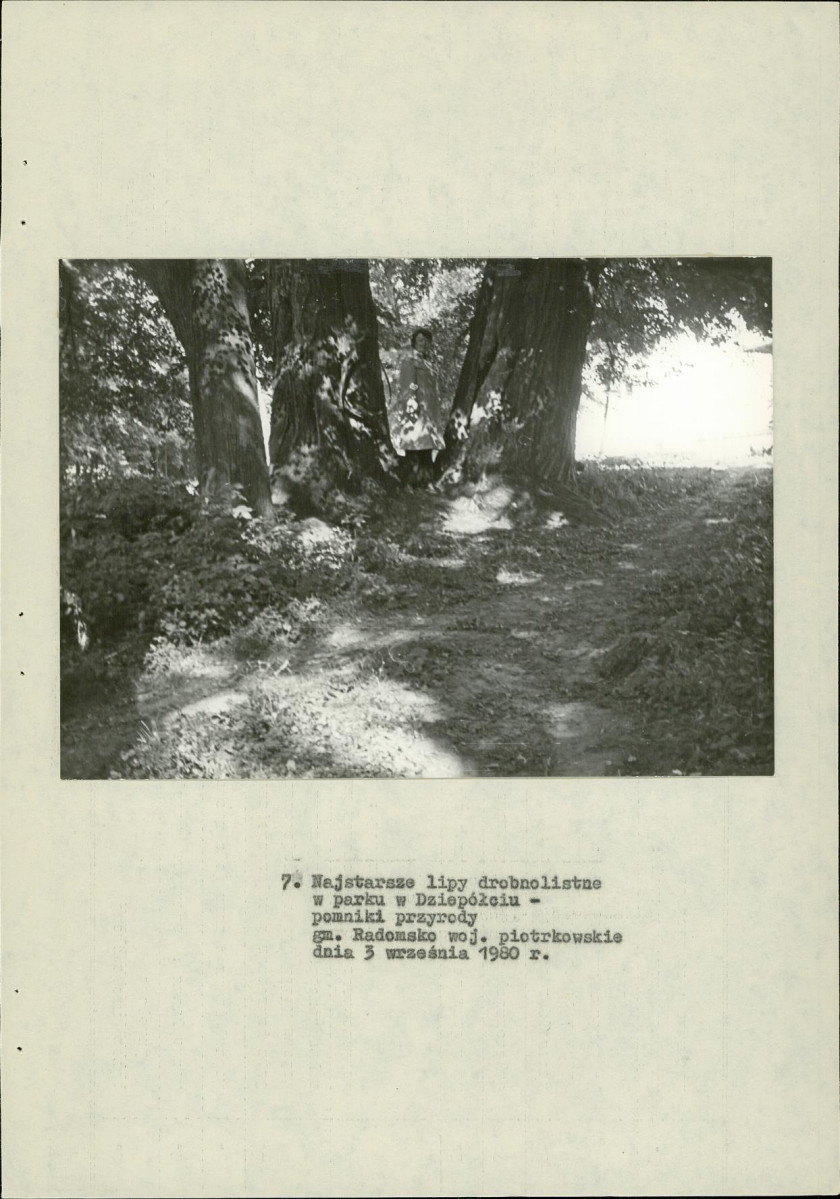 Ewidencja parkowa, skan nr 25