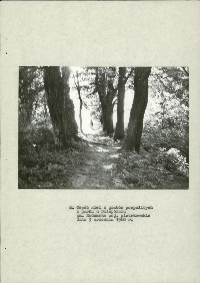 Ewidencja parkowa, skan nr 26