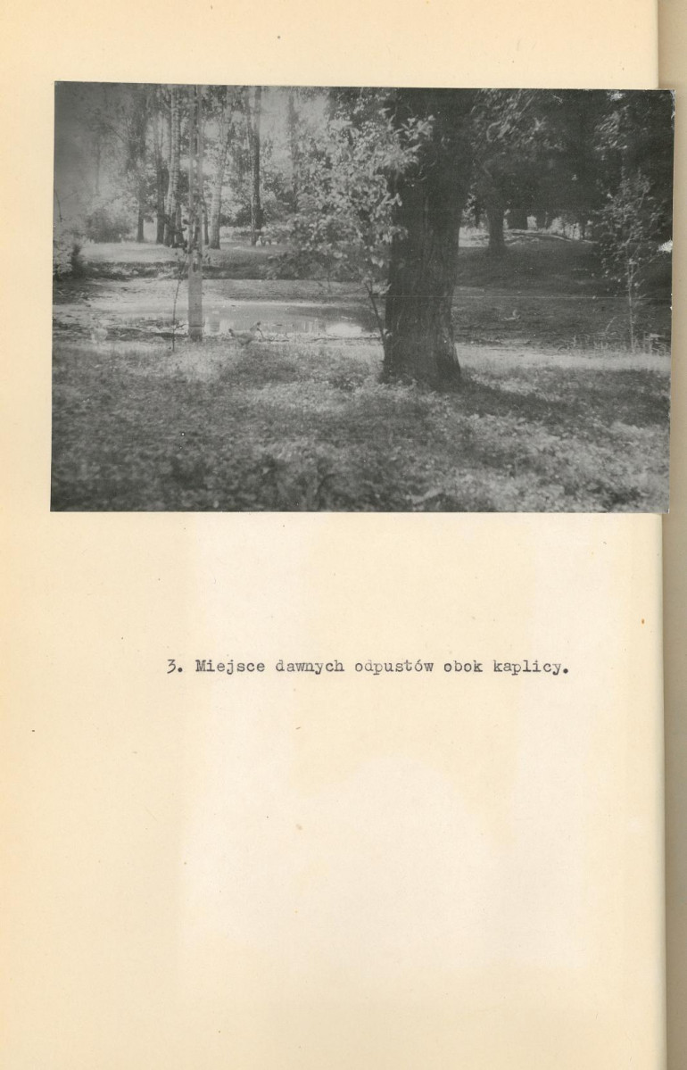 EP - Ewidencja parkowa, skan nr 19