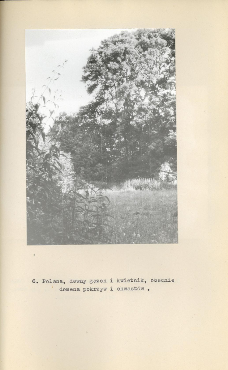 EP - Ewidencja parkowa, skan nr 22