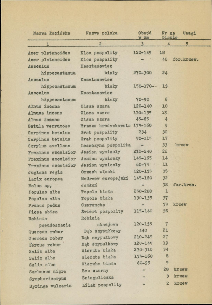 EP - Ewidencja parkowa, skan nr 31