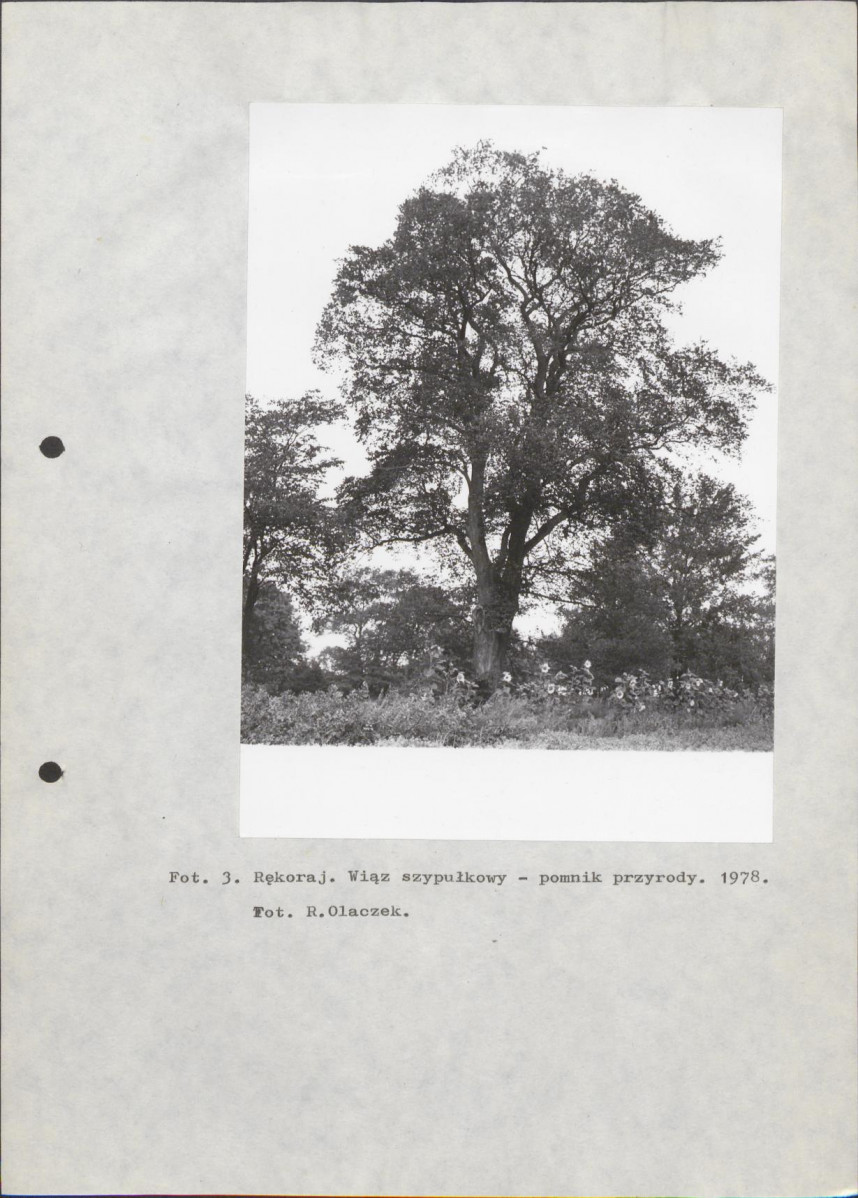 EP - Ewidencja parkowa, skan nr 14
