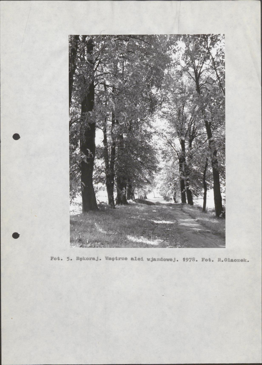 EP - Ewidencja parkowa, skan nr 16