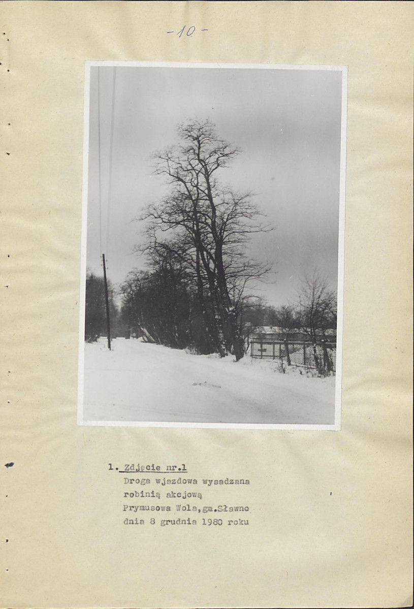 Ewidencja parkowa, skan nr 15