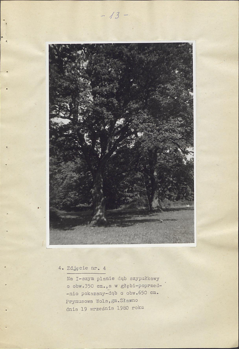 Ewidencja parkowa, skan nr 18