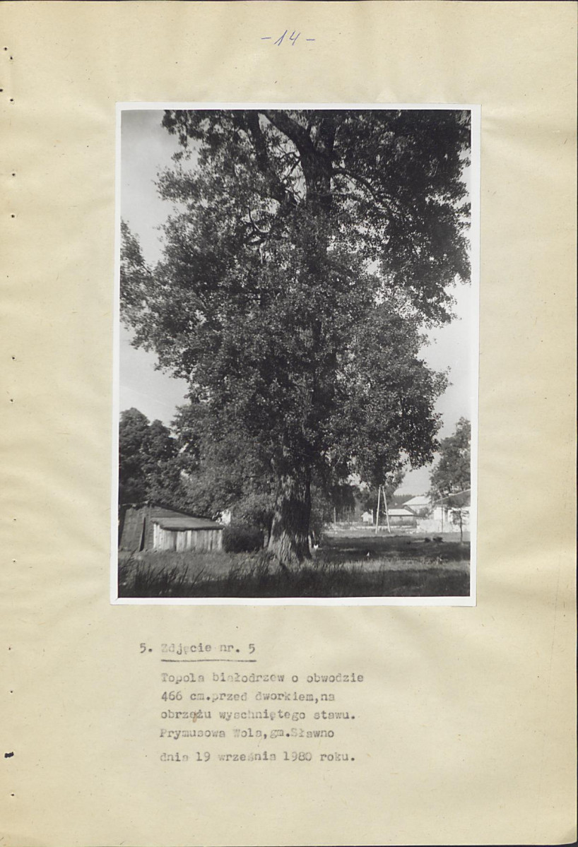 Ewidencja parkowa, skan nr 19