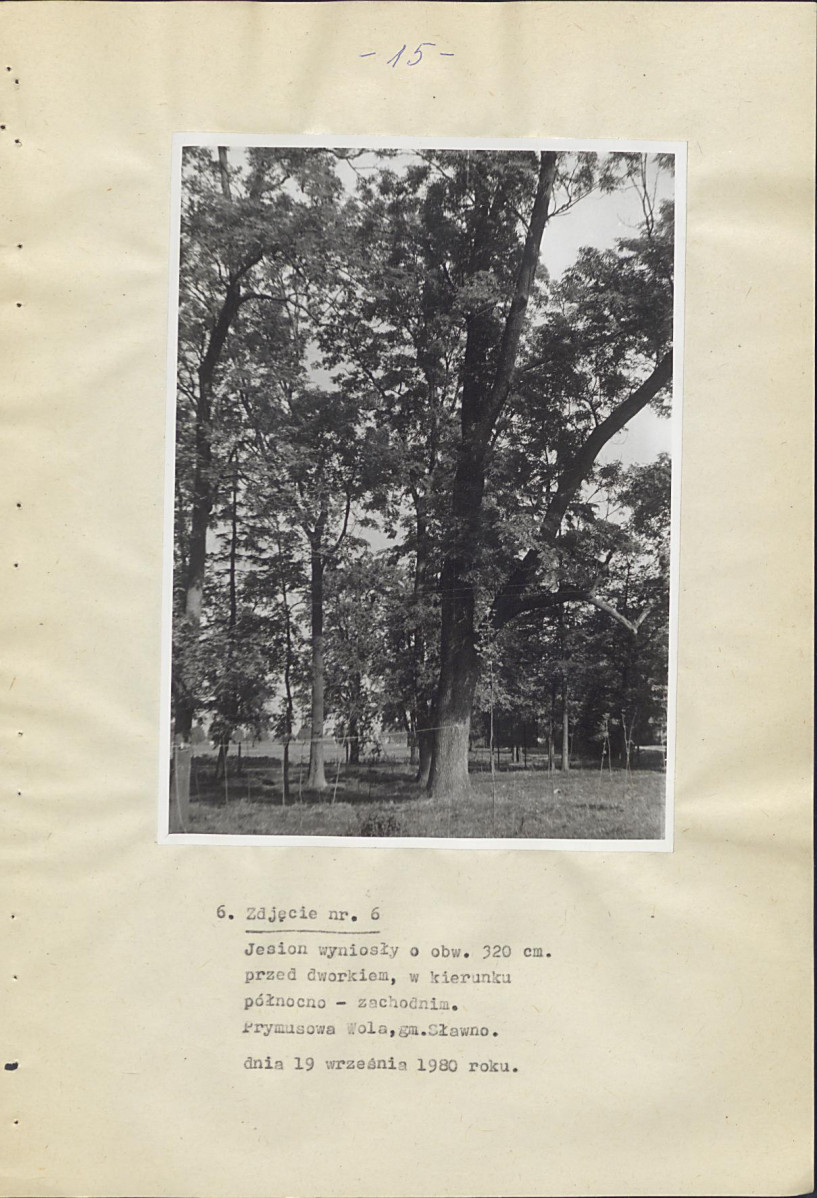 Ewidencja parkowa, skan nr 20