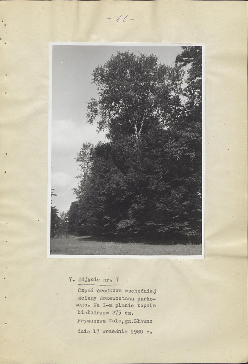 Ewidencja parkowa, skan nr 21