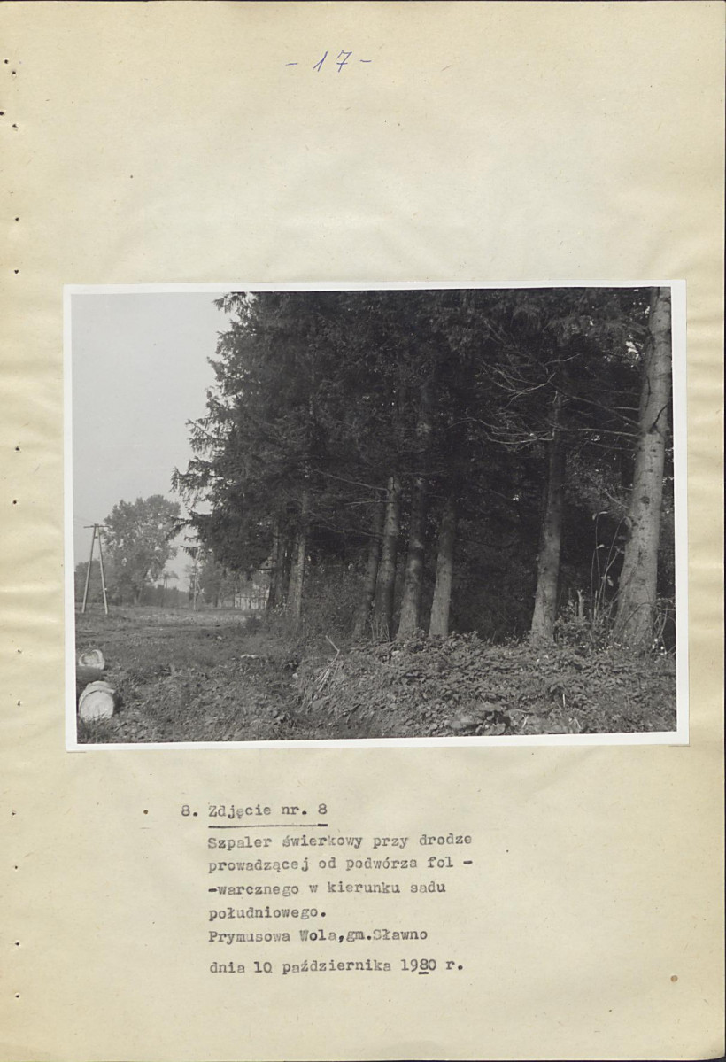 Ewidencja parkowa, skan nr 22