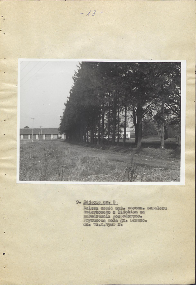 Ewidencja parkowa, skan nr 23