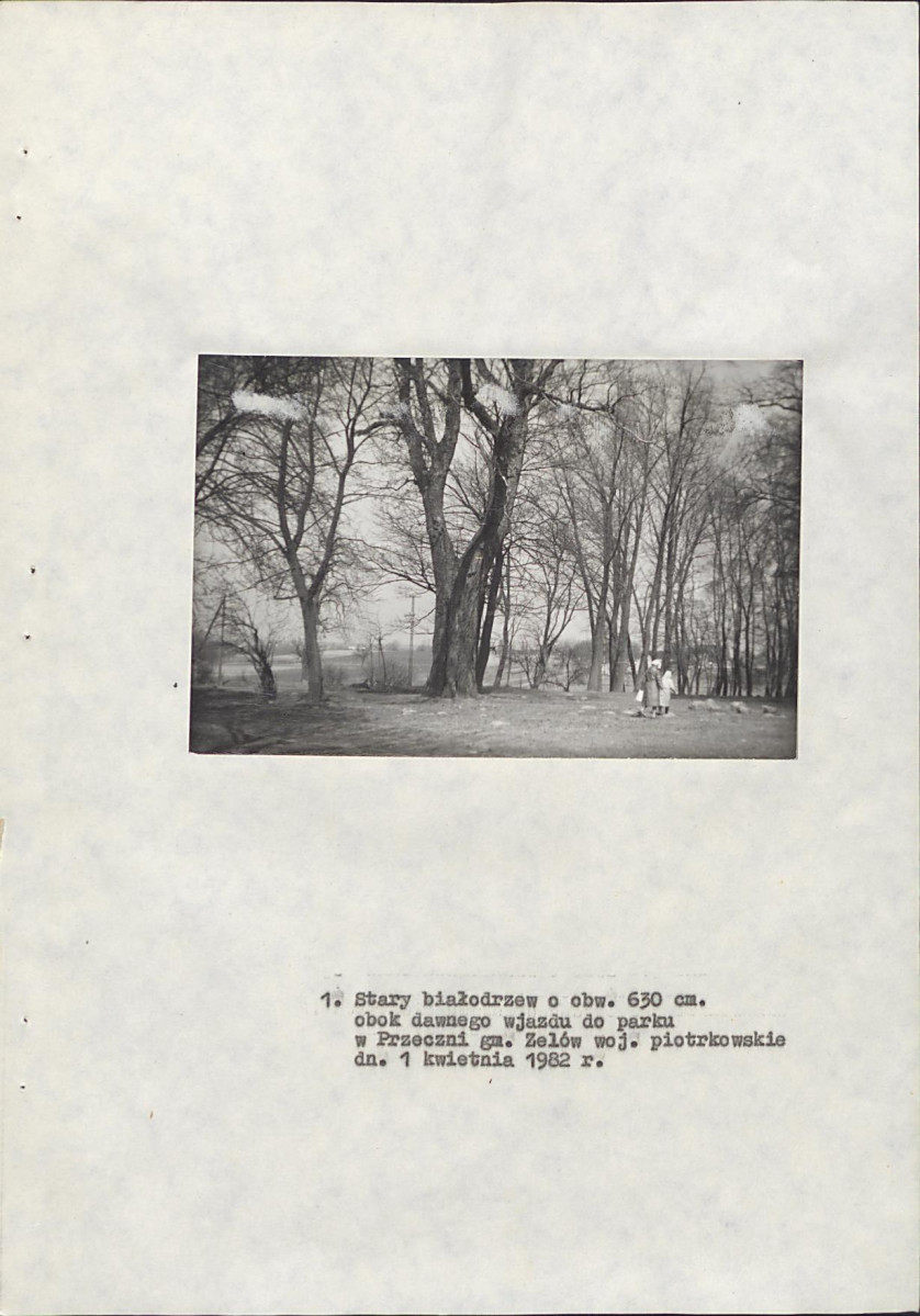 EP - Ewidencja parkowa, skan nr 16