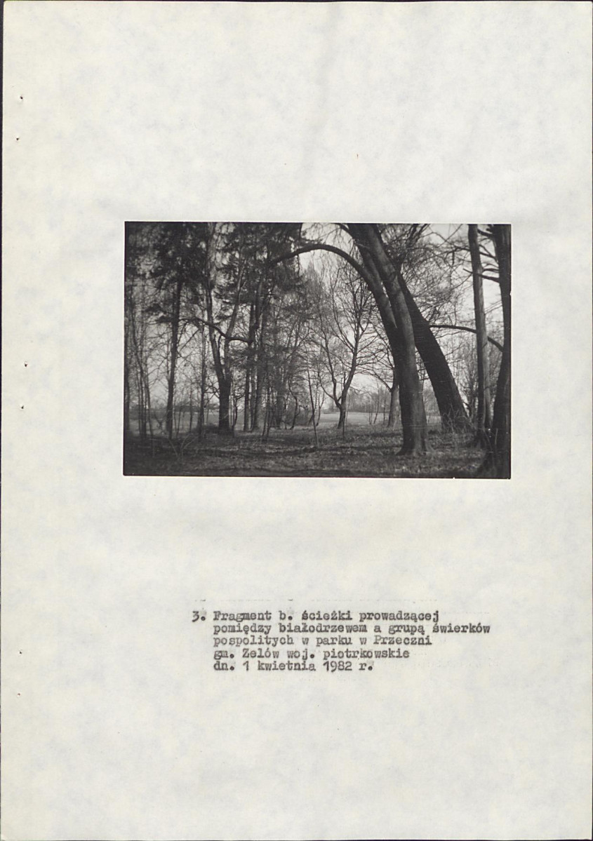 EP - Ewidencja parkowa, skan nr 18