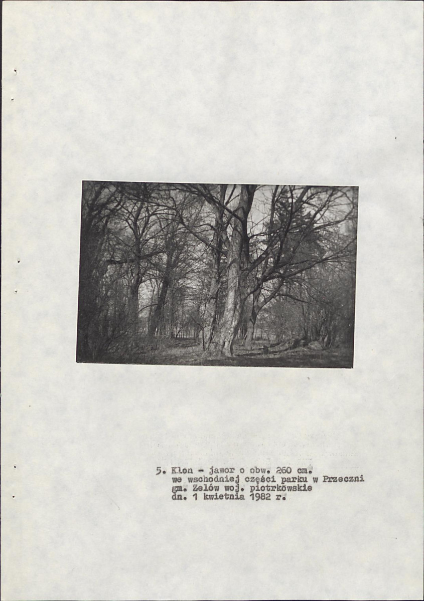 EP - Ewidencja parkowa, skan nr 20