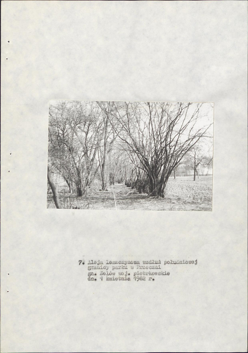 EP - Ewidencja parkowa, skan nr 22