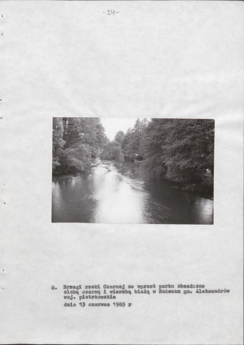 EP - Ewidencja parkowa, skan nr 29