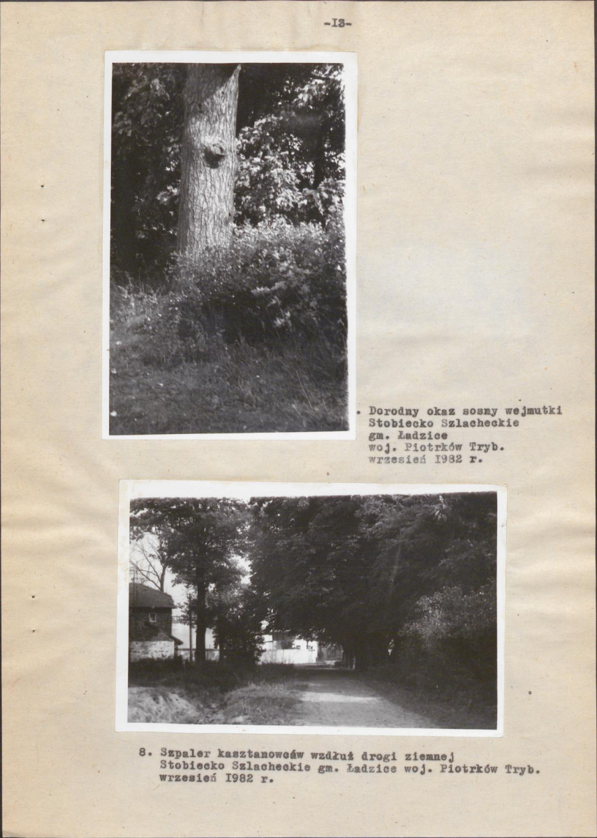 EP - Ewidencja parkowa, skan nr 20