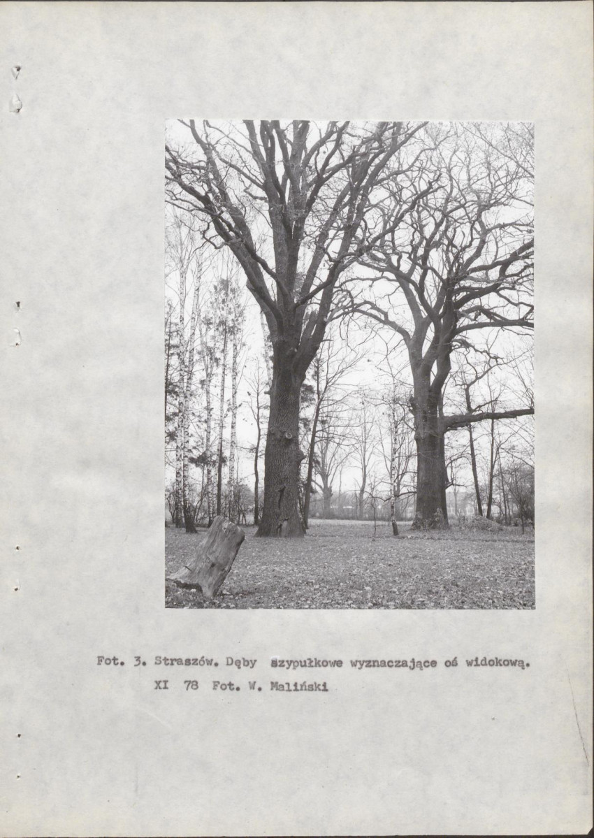 Ewidencja parkowa, skan nr 14
