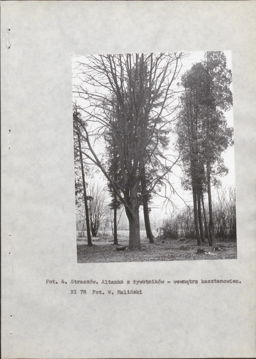 Ewidencja parkowa, skan nr 15