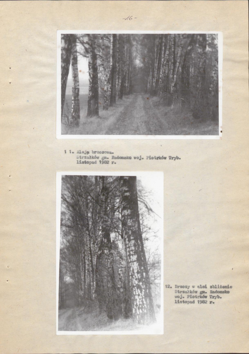 EP - Ewidencja parkowa, skan nr 26
