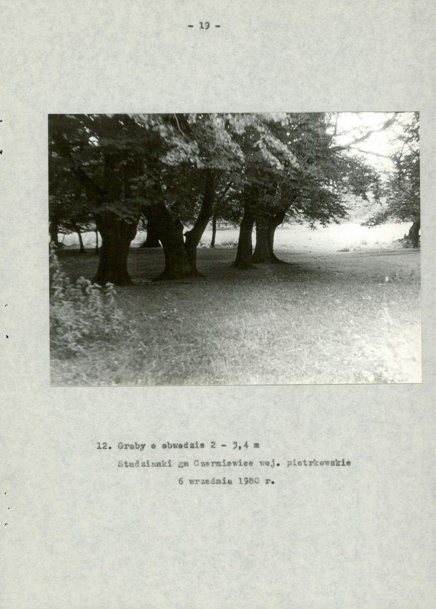 EP - Ewidencja parkowa, skan nr 28