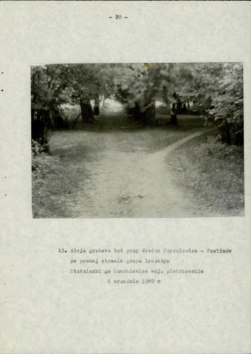 EP - Ewidencja parkowa, skan nr 29